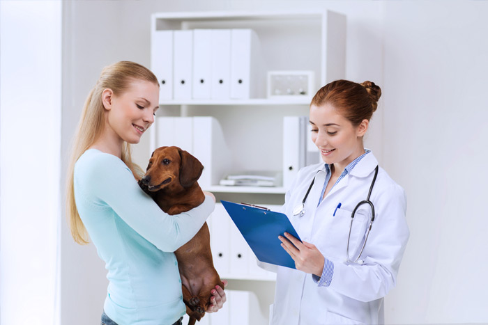 ЭЦП для оформления ветеринарных сертификатов (ГИС Меркурий) в Чите